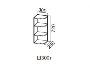 Ш300т/720 Шкаф навесной 300/720 (торцевой) в Березниках - berezniki.magazin-mebel74.ru | фото