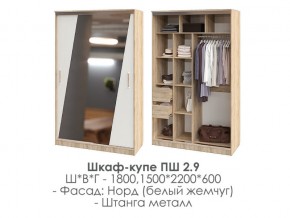 шкаф-купе ПШ-2.9 1500 Норд Белый жемчуг 1500 в Березниках - berezniki.magazin-mebel74.ru | фото