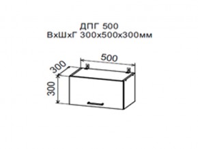 Шкаф верхний ДПГ500 горизонтальный в Березниках - berezniki.magazin-mebel74.ru | фото